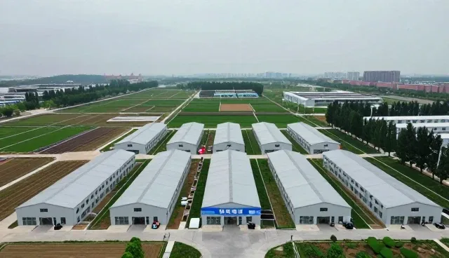 税务风险防控：商务代理场景中的实际应用与维护建议